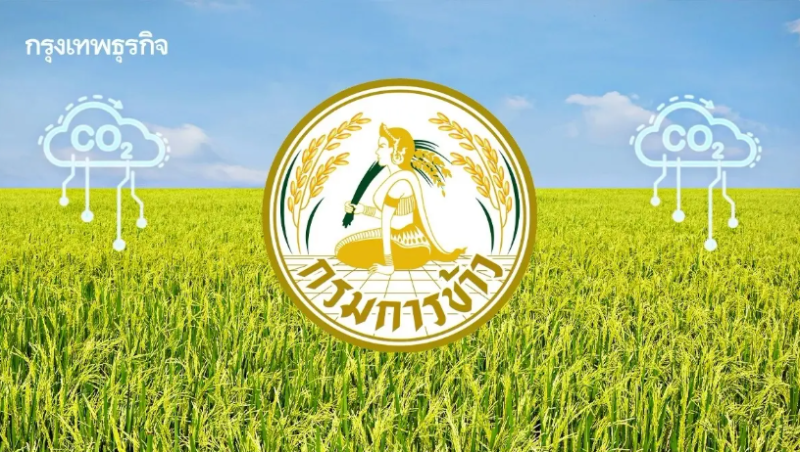 Thailand Promotes Low-Carbon Rice to Drive Bio Circular Green Economy and Environmental Sustainability