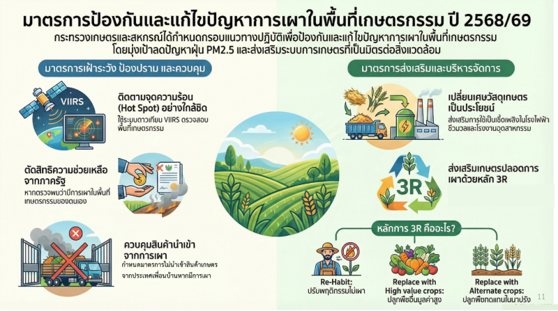 มาตรการป้องกันและแก้ไขปัญหาการเผาในพื้นที่เกษตรกรรม