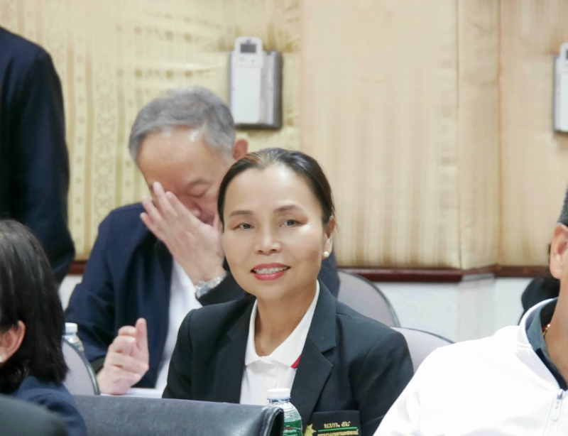 การจัดงานฉลองอนุสาวรีย์ปราบฮ่อ