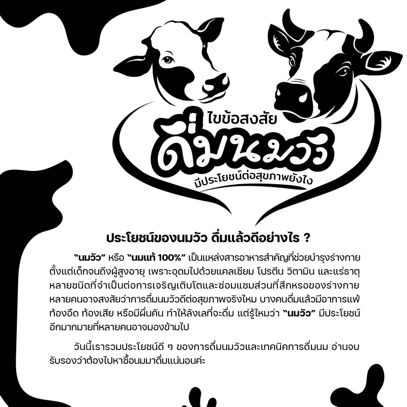 ประโยชน์ของนมวัว ดื่มแล้วดีอย่างไร