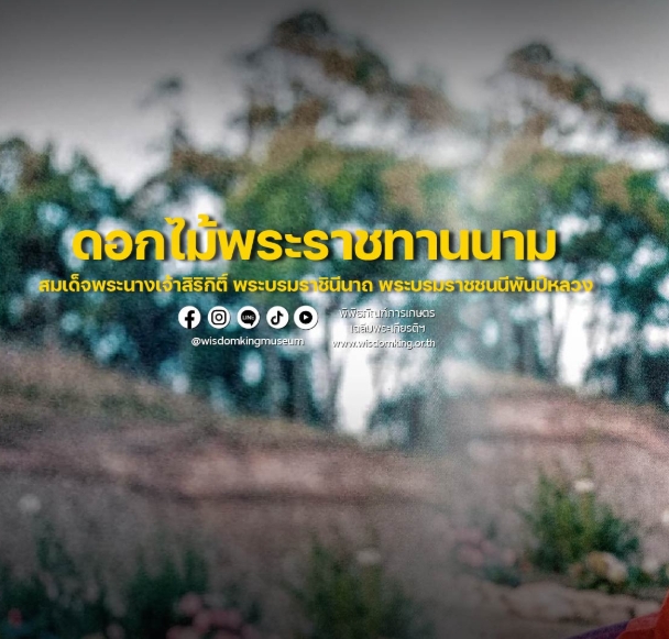 ดอกไม้พระราชทานนาม