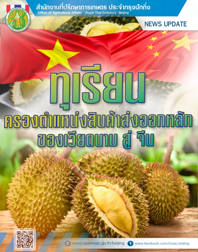 ทุเรียนครองตำแหน่งสินค้าส่งออกหลักของเวียดนามสู่จีน