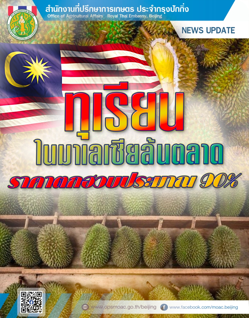 ทุเรียนในมาเลเซียล้นตลาด ราคาตกฮวบ