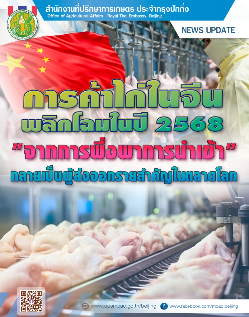 จีนกลายเป็นประเทศส่งออกไก่สุทธิ