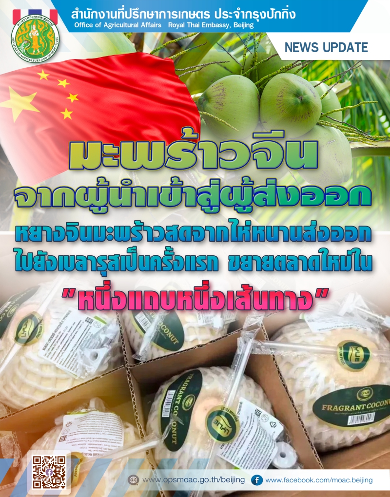 มะพร้าวจีนจากผู้นำเข้าสู่ผู้ส่งออก