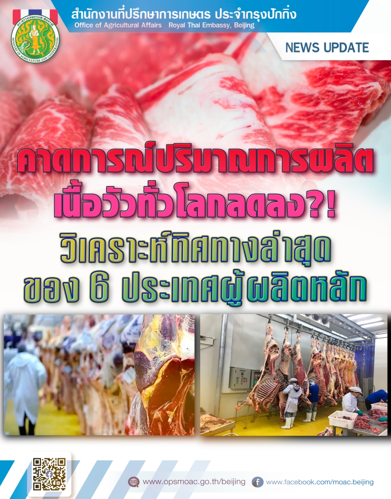 คาดการณ์ปริมาณการผลิตเนื้อวัวทั่วโลกลดลง?!