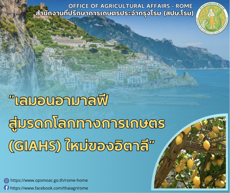 สวนมะนาวขั้นบันไดอมาลฟี: มรดกเกษตรกรรมยั่งยืน