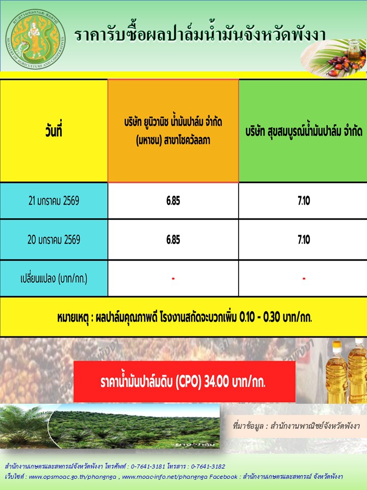 ราคารับซื้อผลปาล์มน้ำมันจังหวัดพังงา