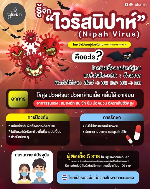 ไวรัสนิปาห์ (Nipah Virus)