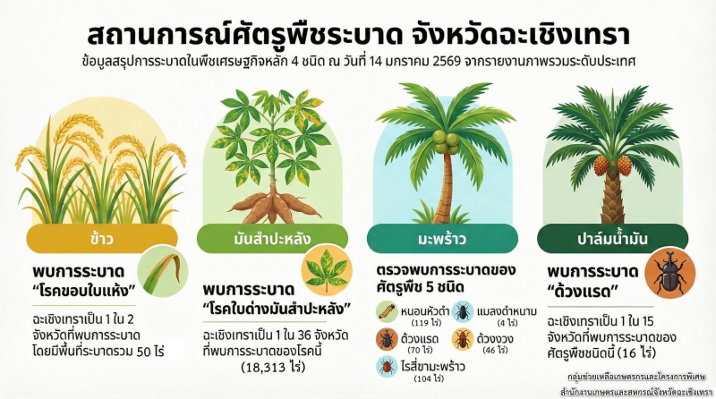สถานการณ์ศัตรูพืชระบาด