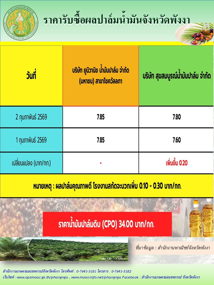 ราคารับซื้อผลปาล์มน้ำมันจังหวัดพังงา