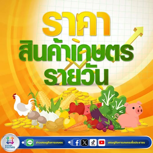 ราคากลาง หรือ ตลาดสำคัญ ประจำวันที่ 2 กุมภาพันธ์ 2569