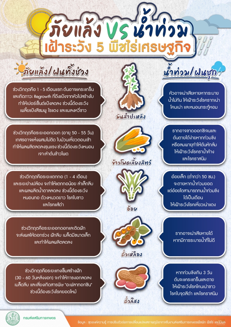 ภัยแล้งVS น้ำท่วม เฝ้าระวัง 5 พืชไร่เศรษฐกิจ