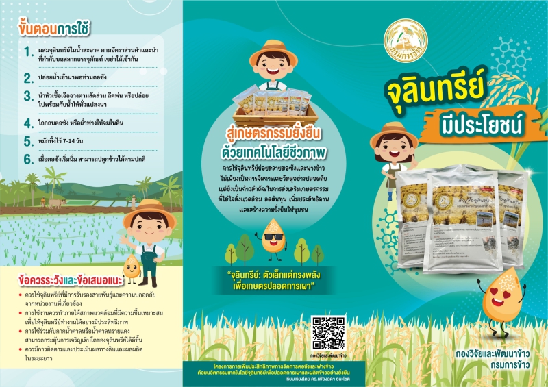 จุลินทรีย์มีประโยชน์ใช้ย่อยสลายตอซังและฟางข้าว