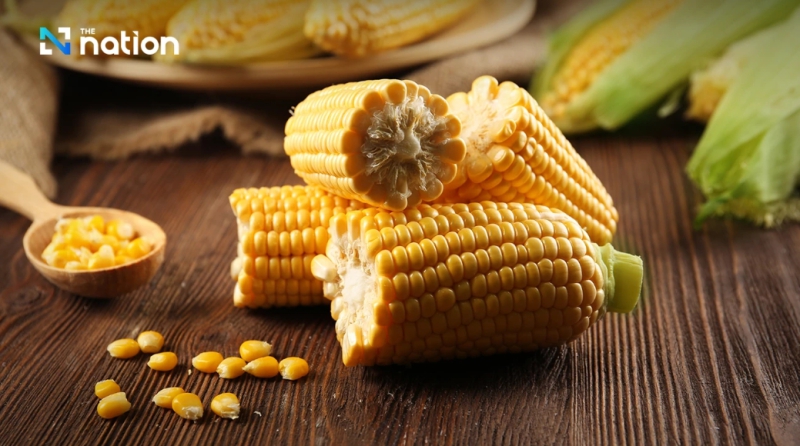 New rules tighten feed corn, wheat imports; burn-free proof required