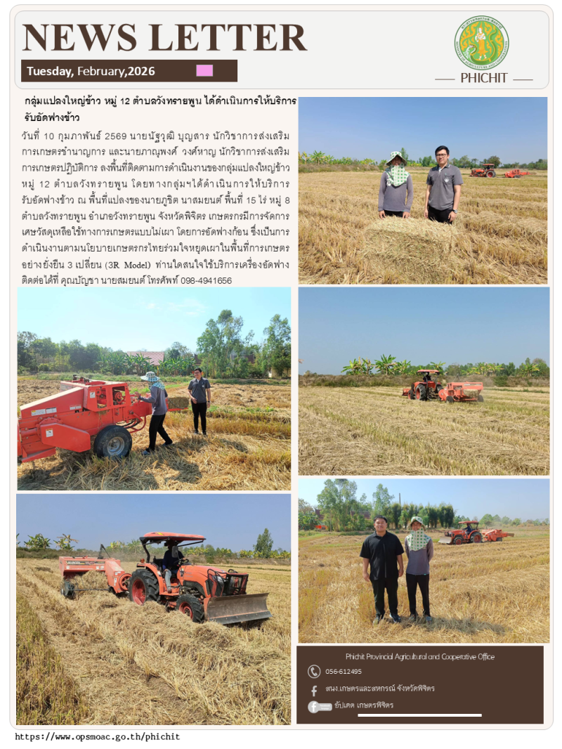 กลุ่มแปลงใหญ่ข้าว