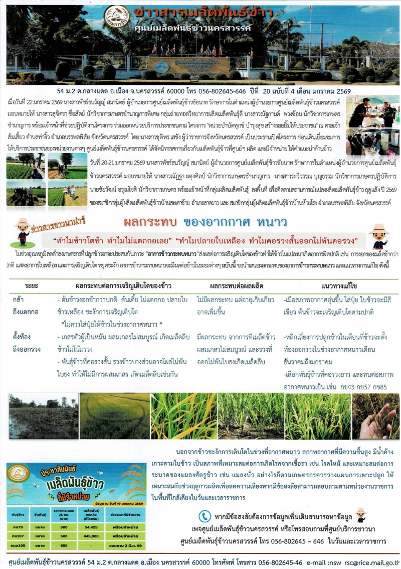 ข่าวสารเมล็ดพันธุ์ข้าว