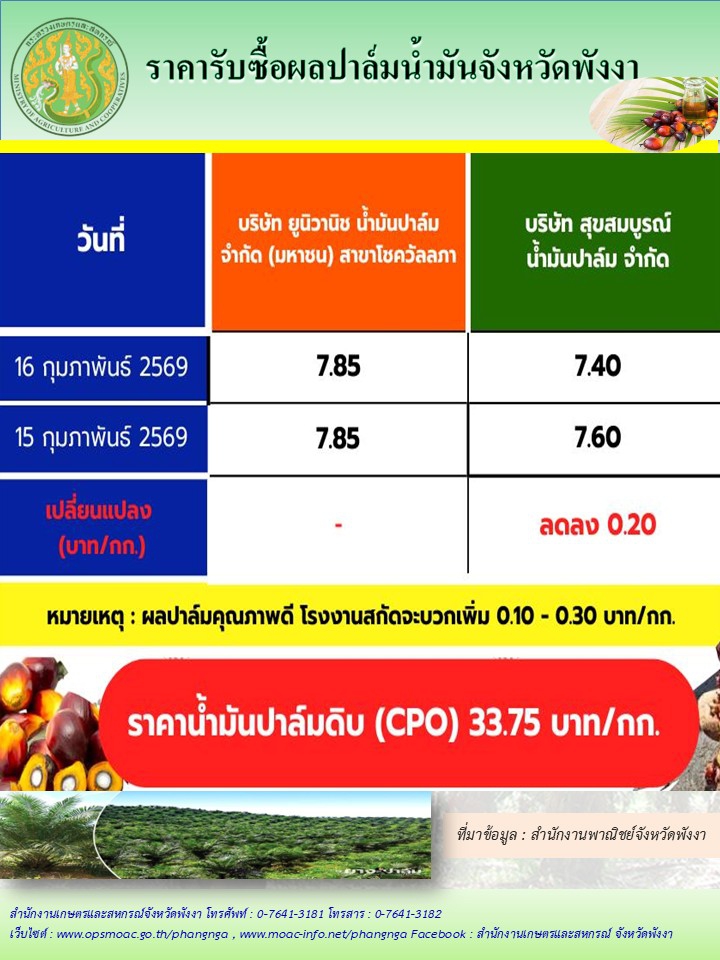 ราคารับซื้อผลปาล์มน้ำมันจังหวัดพังงา