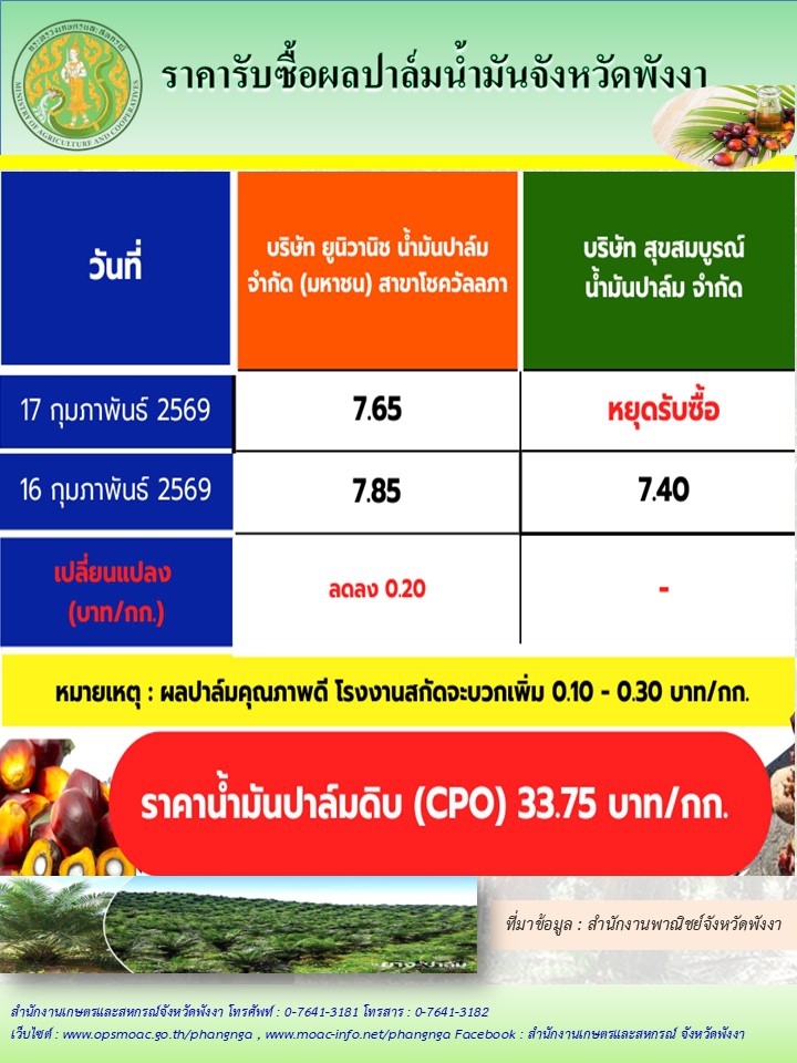 ราคารับซื้อผลปาล์มน้ำมันจังหวัดพังงา