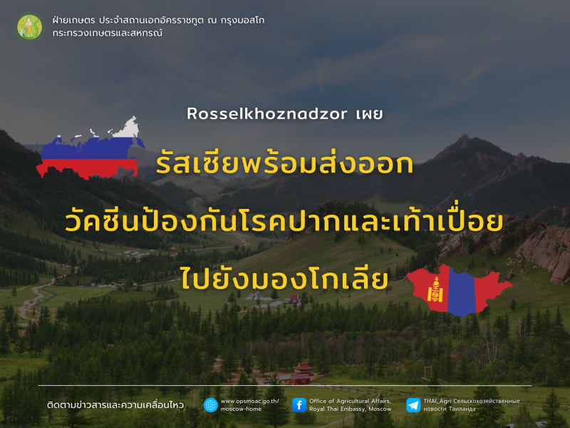 รัสเซียยืนยันความพร้อมส่งออกวัคซีนป้องกันโรคปากและเท้าเปื่อยไปยังมองโกเลีย