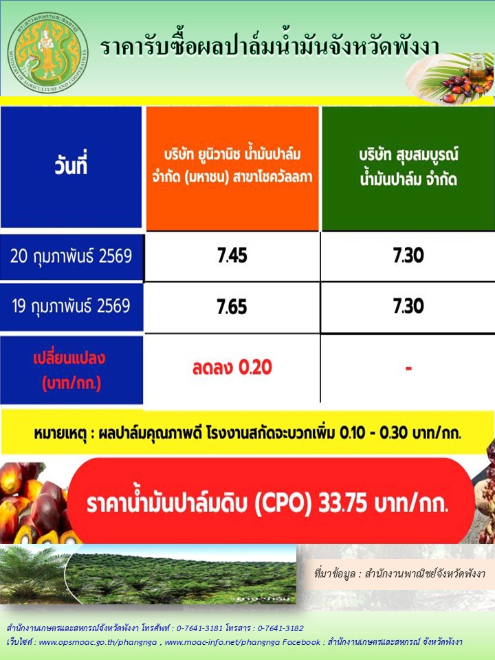 ราคารับซื้อผลปาล์มน้ำมันจังหวัดพังงา