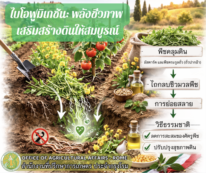 พลังชีวภาพ เสริมสร้างดินให้สมบูรณ์