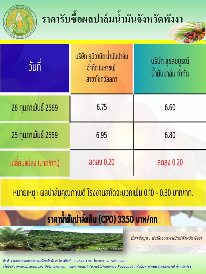 ราคารับซื้อผลปาล์มน้ำมันจังหวัดพังงา