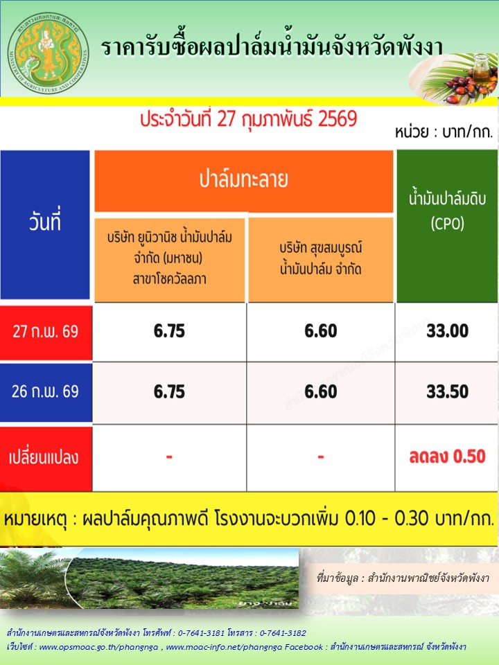 ราคารับซื้อผลปาล์มน้ำมันจังหวัดพังงา