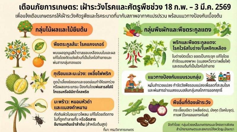 เตือนภัยการเกษตรเฝ้าระวังโรคและศัตรูพืช