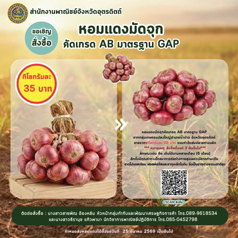 ขอเชิญชวนทุกท่านร่วมอุดหนุนหอมแดงมัดจุก