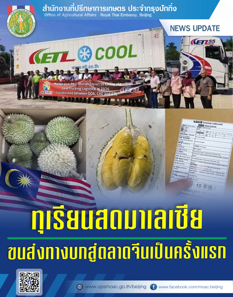 ทุเรียนสดมาเลเซียขนส่งทางบกสู่ตลาดจีนเป็นครั้งแรก