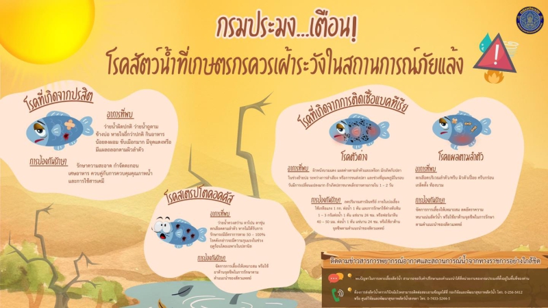 กรมประมงเตือนโรคสัตว์น้ำที่เกษตรกรควรเฝ้าระวังในสถานการณ์ภัยแล้ง