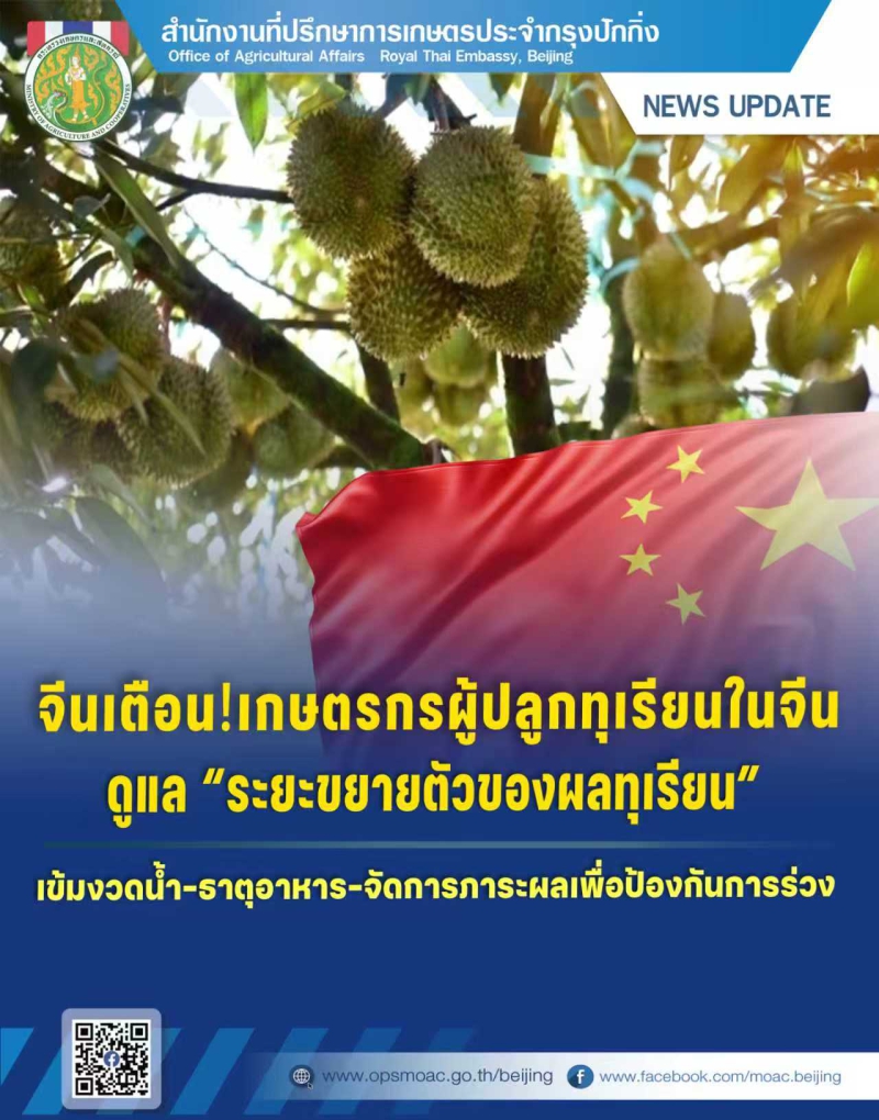 จีนเตือนเกษตรกรผู้ปลูกทุเรียนในจีน