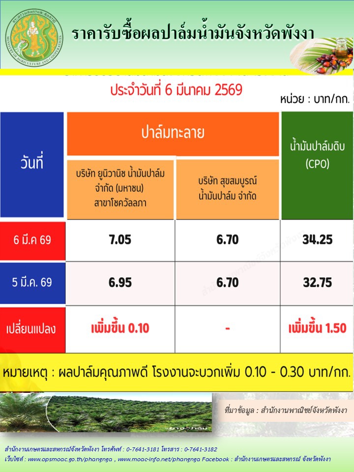 ราคารับซื้อผลปาล์มน้ำมันจังหวัดพังงา
