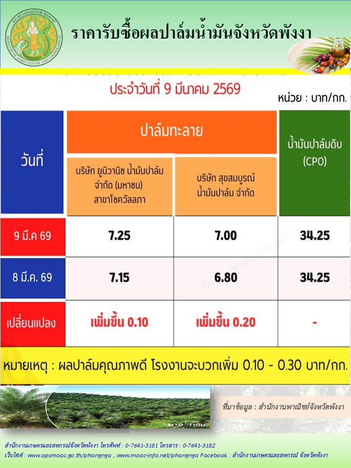 ราคารับซื้อผลปาล์มน้ำมันจังหวัดพังงา