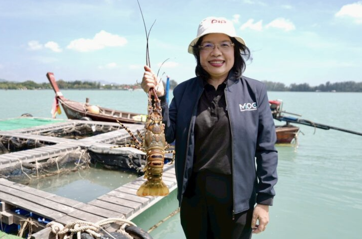 กรมทรัพย์สินทางปัญญา