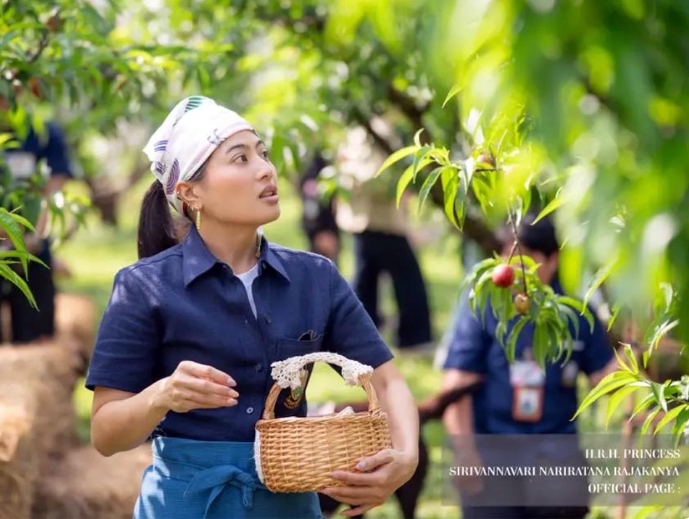 Princess Sirivannavari promotes new crop research during Angkhang royal project visit