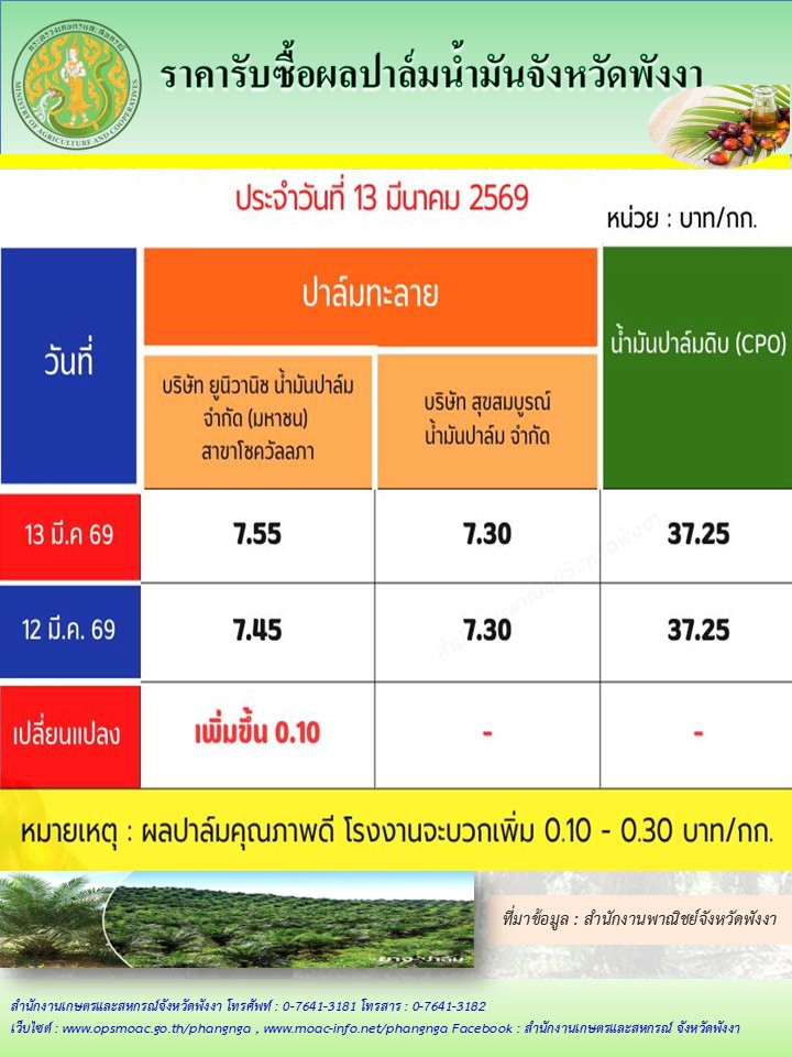 ราคารับซื้อผลปาล์มน้ำมันจังหวัดพังงา