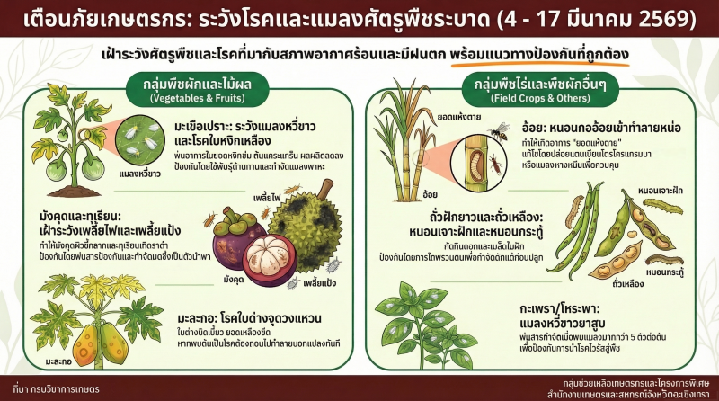 เตือนภัยการเกษตรเฝ้าระวังโรคและศัตรูพืช