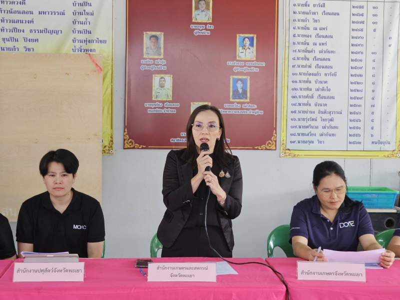 การจัดทำแผนงานโครงการต่อยอด