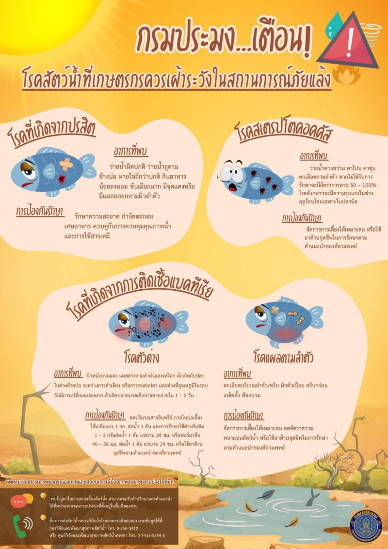 กรมประมง...เตือน❗️โรคสัตว์น้ำที่เกษตรกรเฝ้าระวังในสถานการณ์ภัยแล้ง