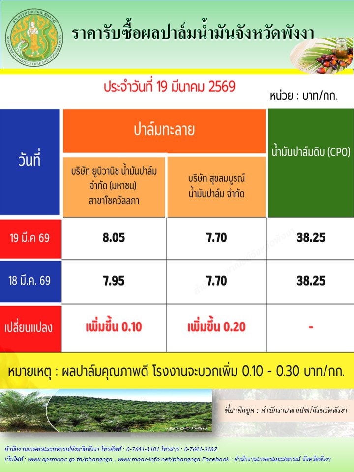 ราคารับซื้อผลปาล์มน้ำมันจังหวัดพังงา