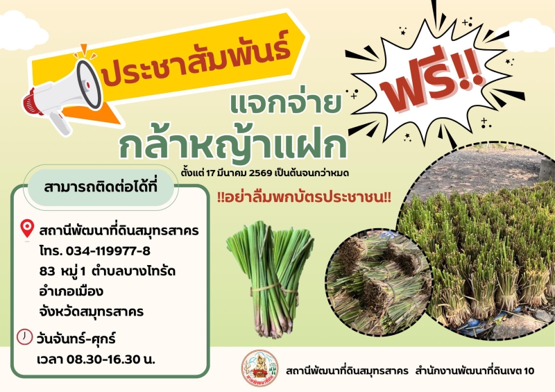 ประชาสัมพันธ์ แจกจ่ายกล้าหญ้าแฝก (ฟรี)