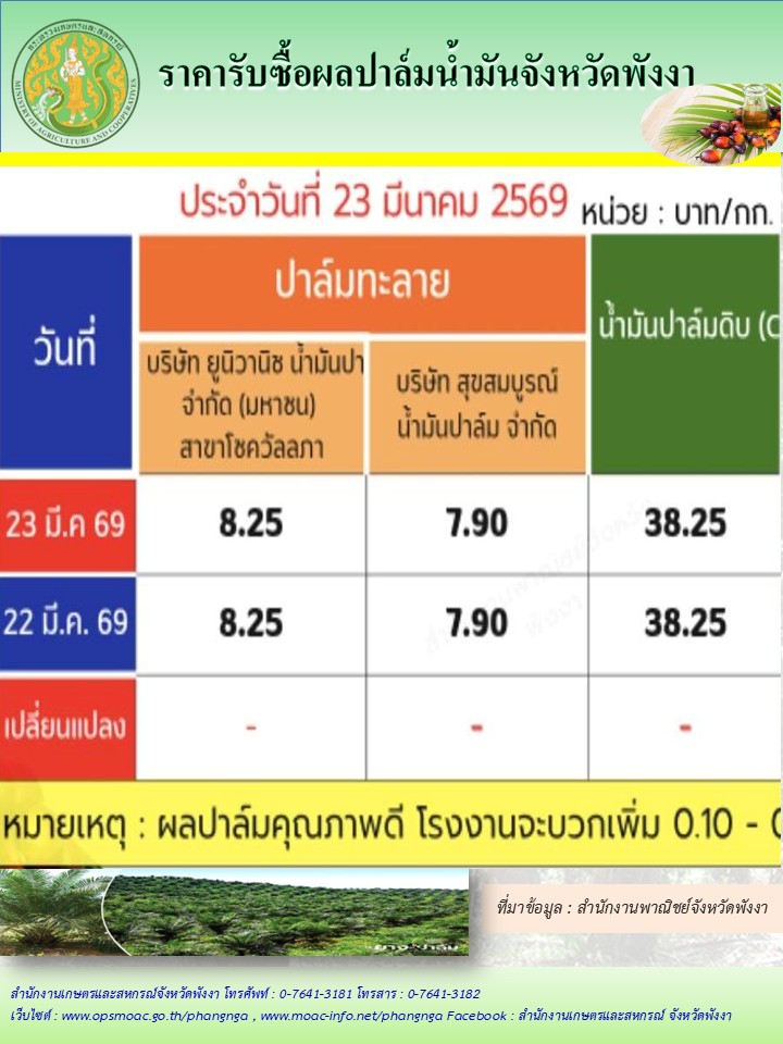 ราคารับซื้อผลปาล์มน้ำมันจังหวัดพังงา