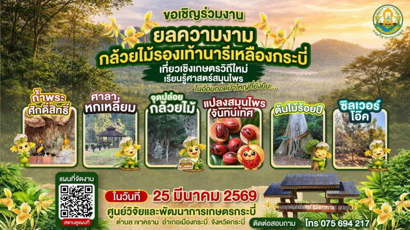 ขอเชิญเที่ยวงานยลความงามกล้วยไม้รองเท้านารีเหลืองกระบี่