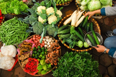 2025年泰国粮食安全状况揭晓：处于良好水平