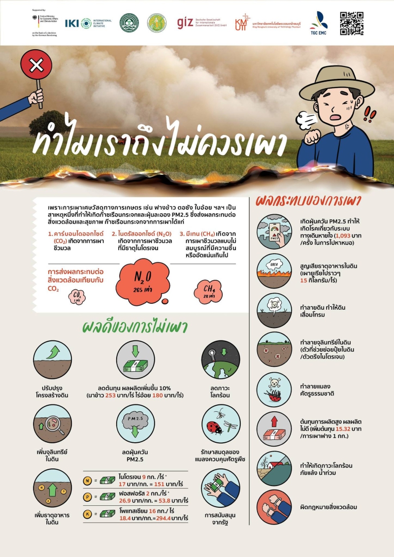 ฟางข้าวและใบอ้อยเพื่อผลิตพลังงาน