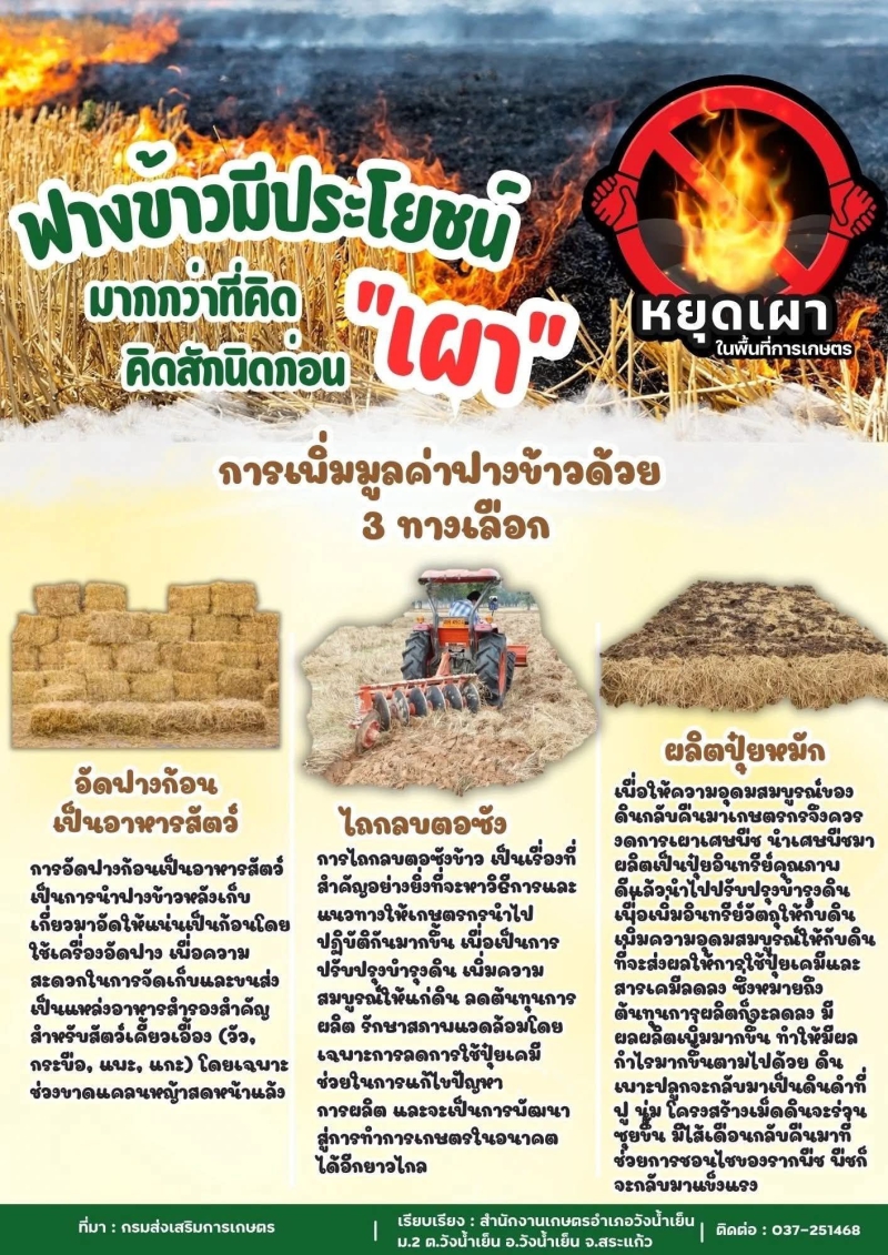 ฝางข้าวมีประโยชน์กว่าที่คิด ไม่เผา