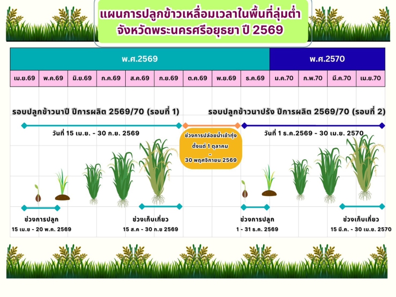 เเผนการปลูกข้าวเหลื่อมเวลาในพื้นที่ลุ่มต่ำ