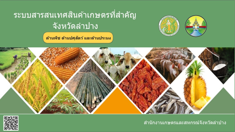 ระบบสารสนเทศสินค้าเกษตรที่สำคัญ